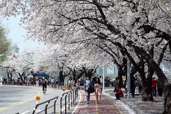 Yeouido
